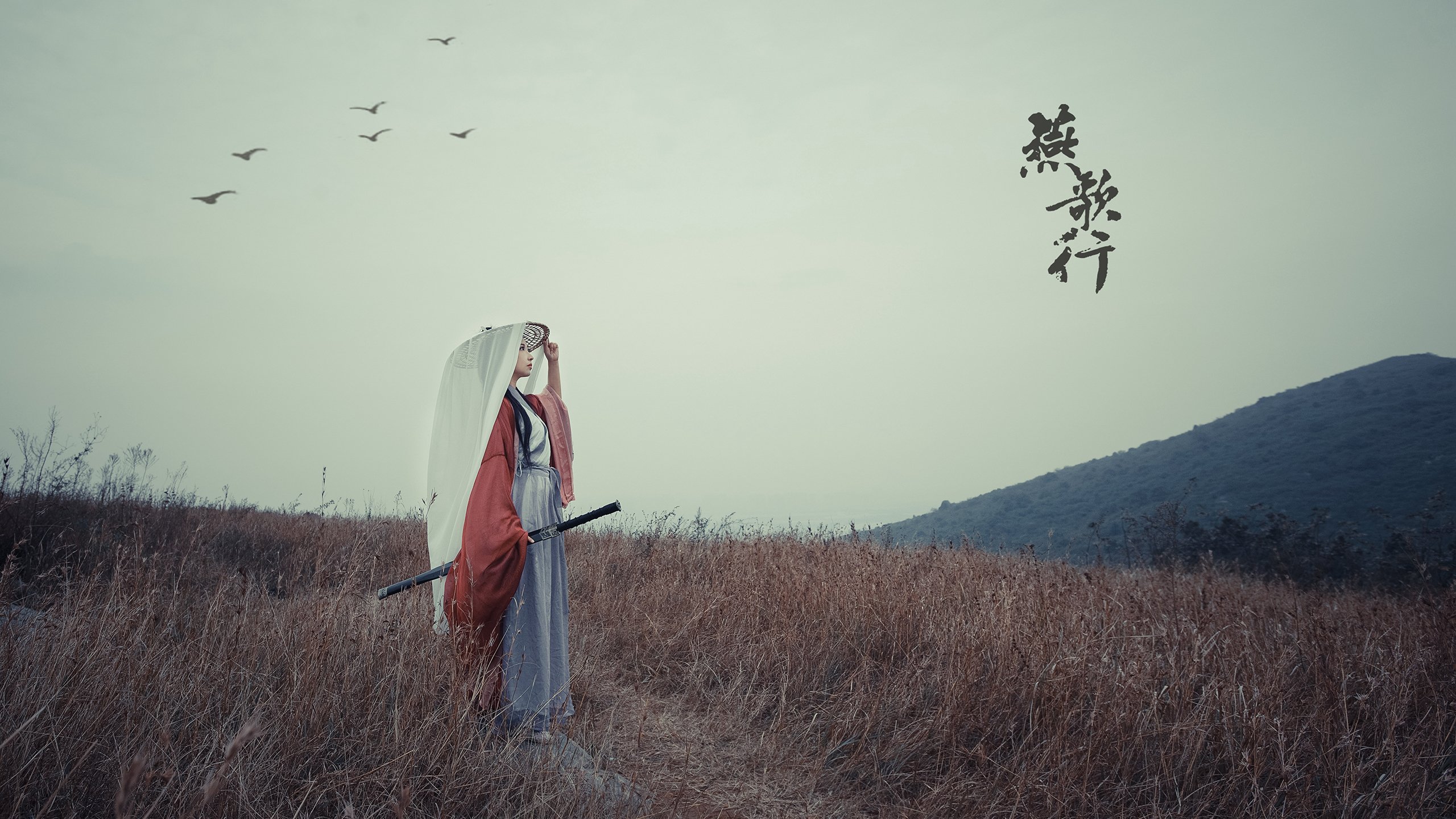 爱游戏体育-双核领袖力，当C罗退场，樊振东引领胜利的东方传奇