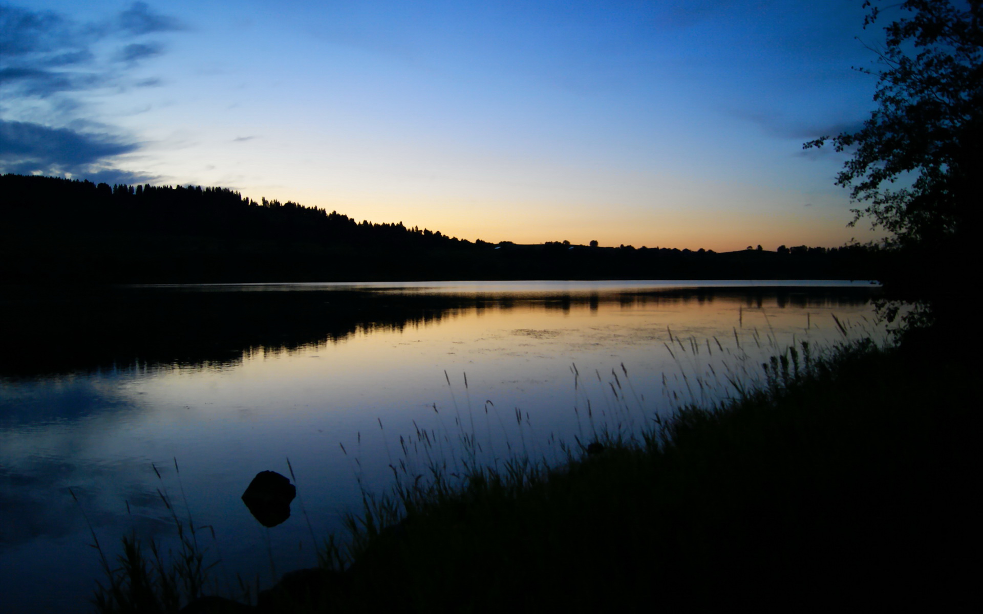 爱游戏官网-奇迹诞生于15秒，范弗利特一剑封喉，定义辽宁男篮唯一性瞬间