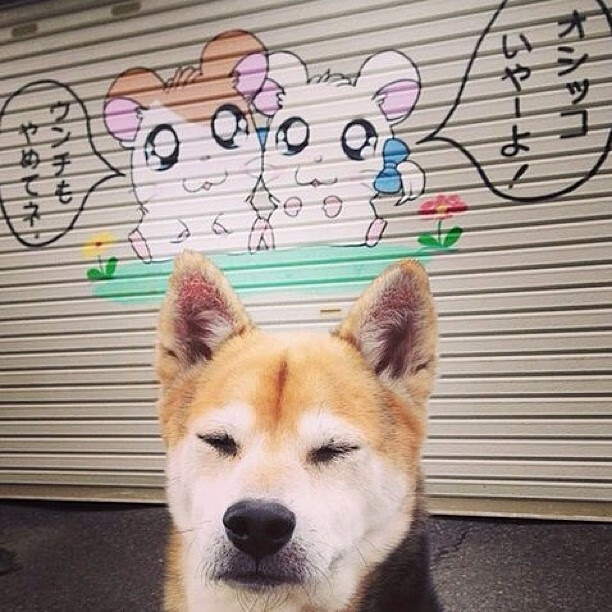 爱游戏在线-巨人杀手！浙江男篮爆冷胜黄蜂，文班亚马末节统治攻防