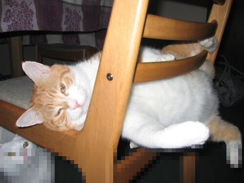 独舞者的交响乐,孙兴慜在世界排名争夺战之夜引领全队节奏