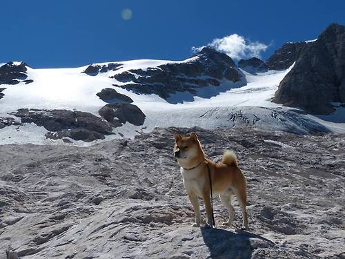欧冠半决赛之夜,当舞台放大时,卡马文加从学徒走向大师