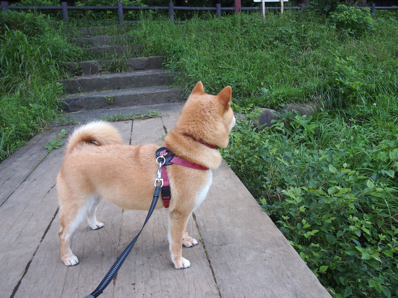 从澳洲到伊斯坦布尔,一场地理隔离式的英超防守教学