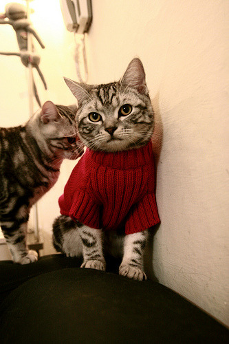 爱游戏APP-十年后的勋章与六年前的基因，当2026伦纳德接管比赛时，上海已预演过胜利