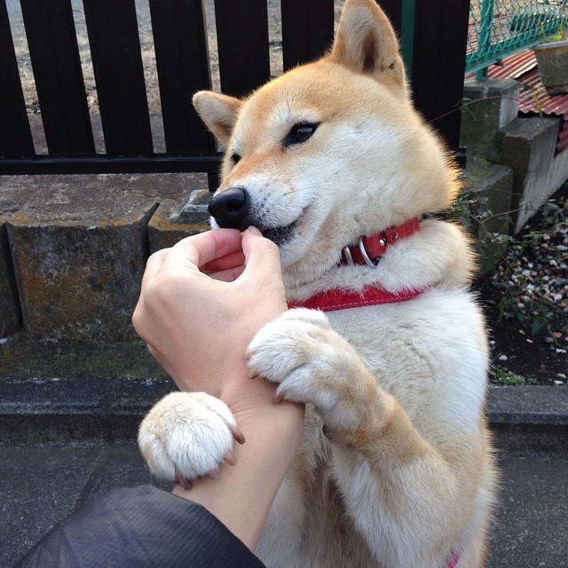 从罪人到英雄，小贾伦的血性救赎之夜