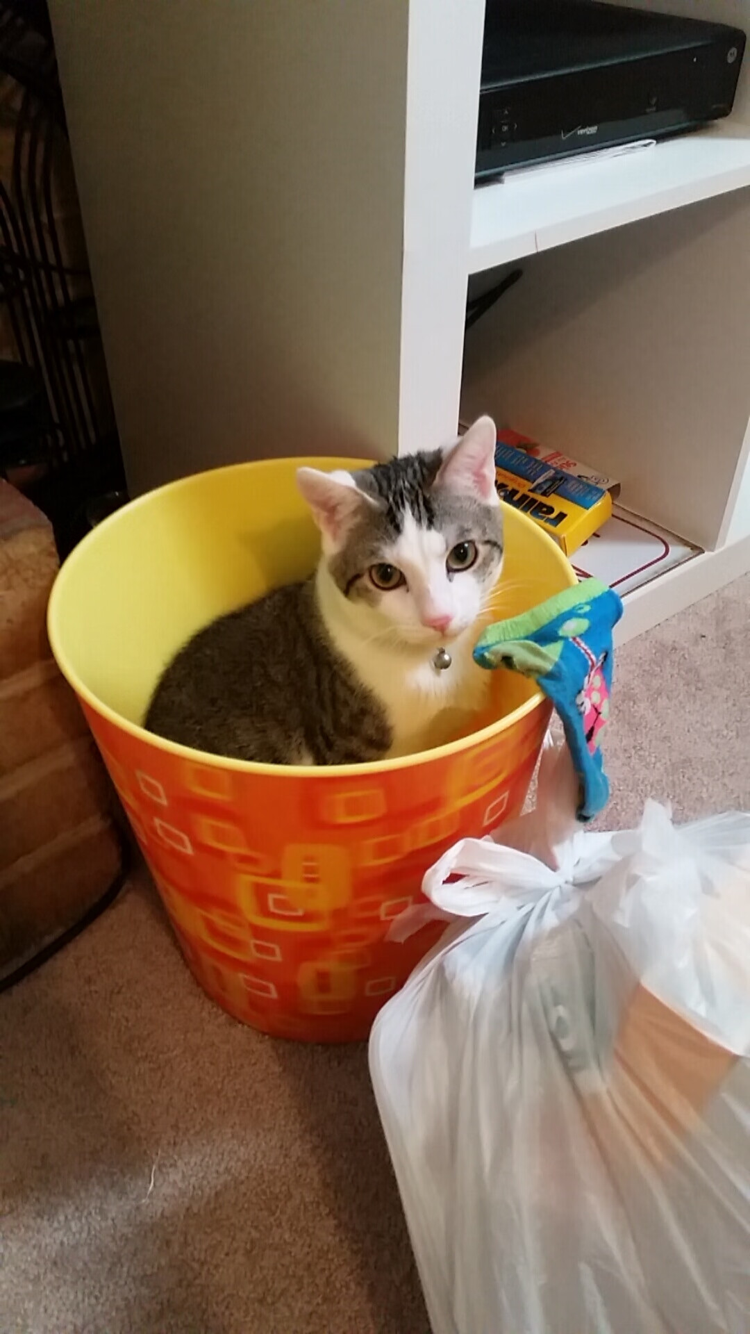 当渡鸦停止盘旋，福克斯的抢七救赎之夜