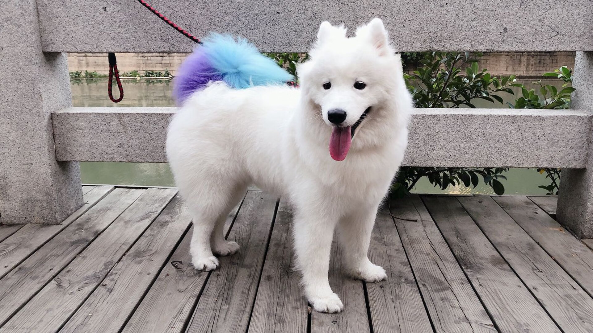 瑞士防线背后的风暴眼，厄德高导演阿森纳的精准穿透