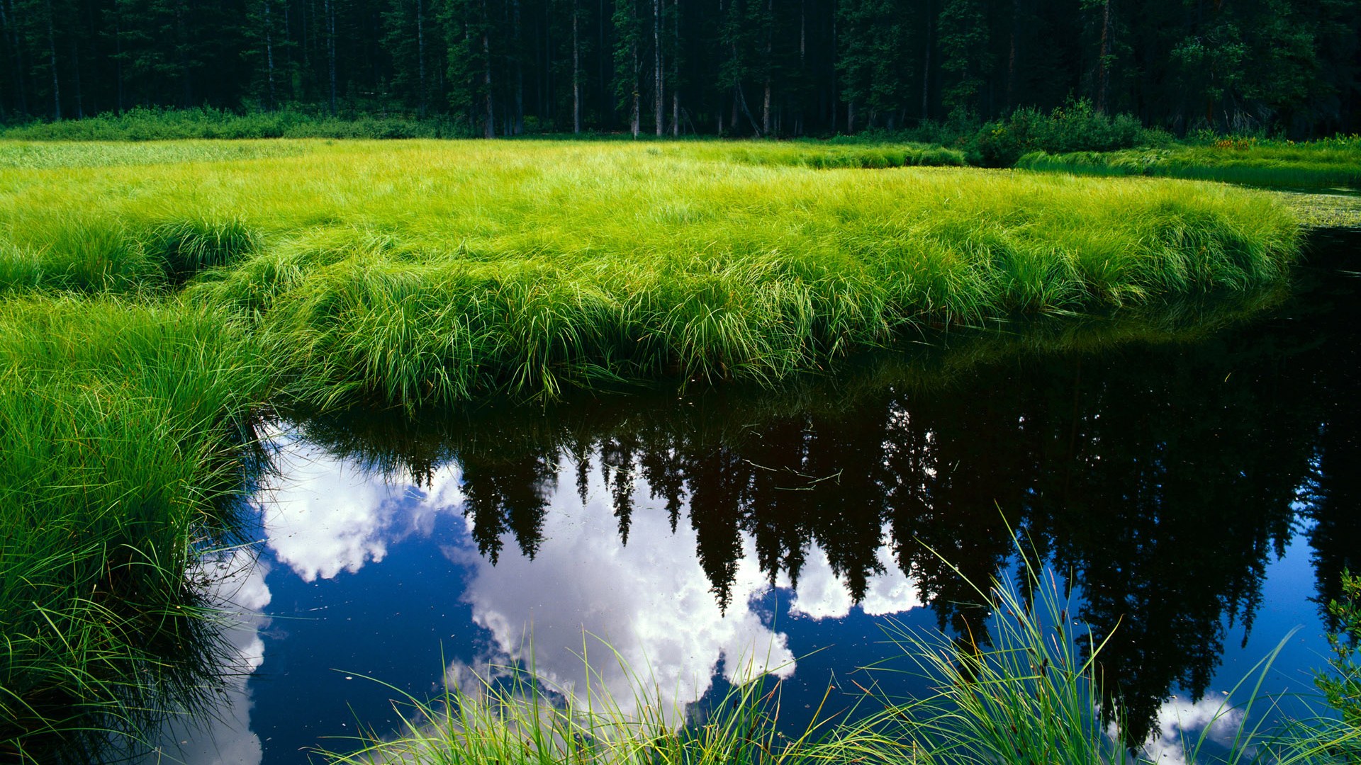 格纳布里存在感拉满，个人英雄主义与巴萨式体系压制的双重奏鸣