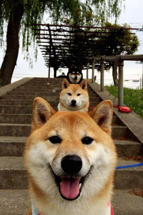 当蓝黑条纹遇见黄蓝旗帜，柏林墙倒塌纪念赛与托马斯·穆勒的时间裂缝