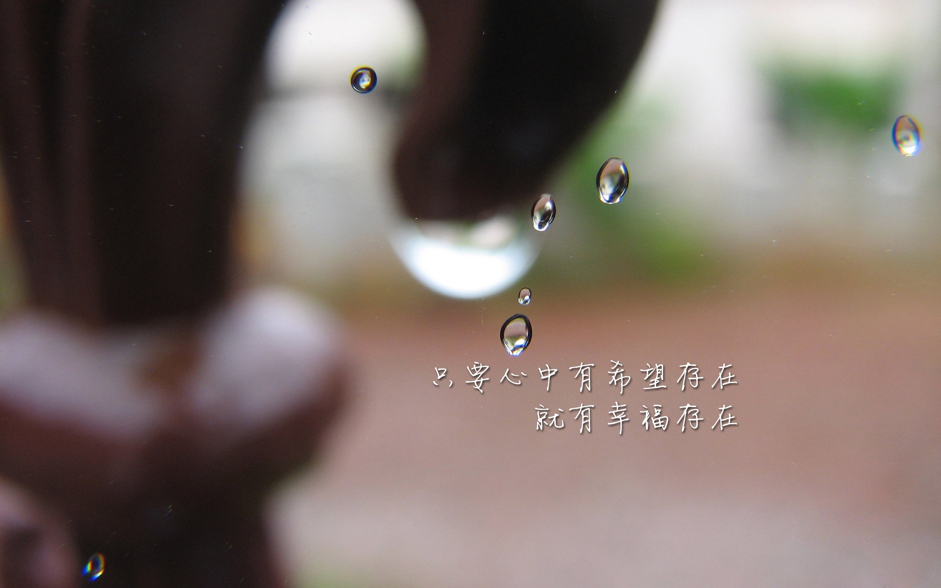 宿命回响,2026世界杯H组,伊朗铁壁遇美国锋刃,巴雷拉一人改写历史